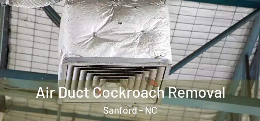 Air Duct Cockroach Removal Sanford - NC