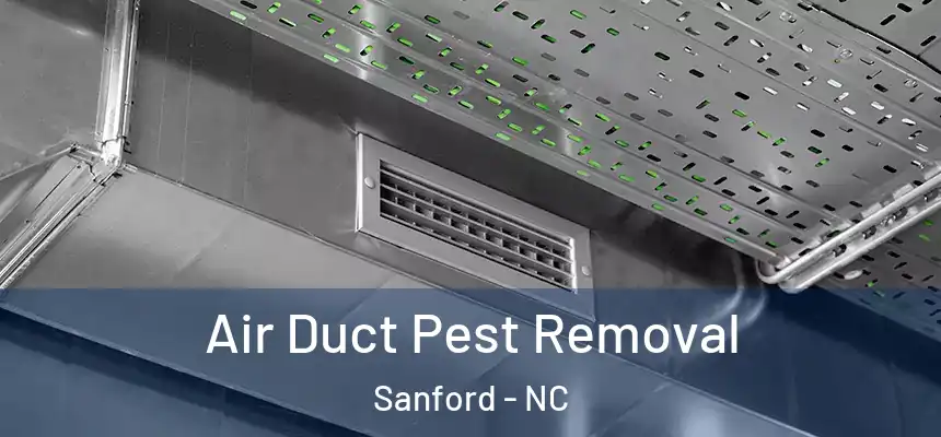  Air Duct Pest Removal Sanford - NC