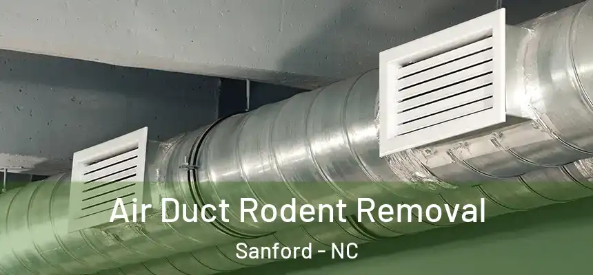 Air Duct Rodent Removal Sanford - NC