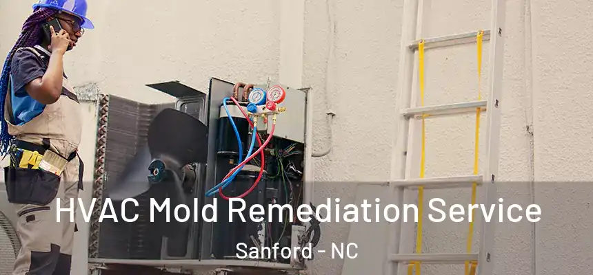  HVAC Mold Remediation Service Sanford - NC