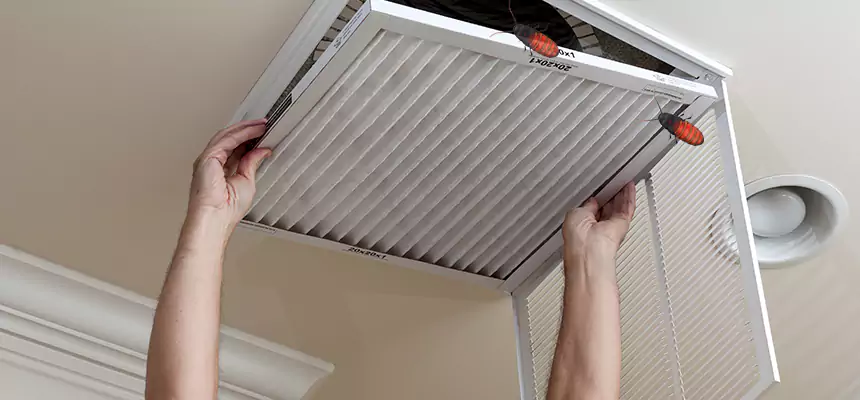 Preventive Cockroach-Proofing for Ducts in Sanford