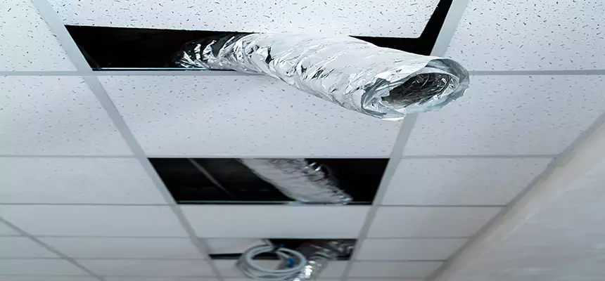 Our Air Duct Pet Hair Removal Services in Sanford, NC