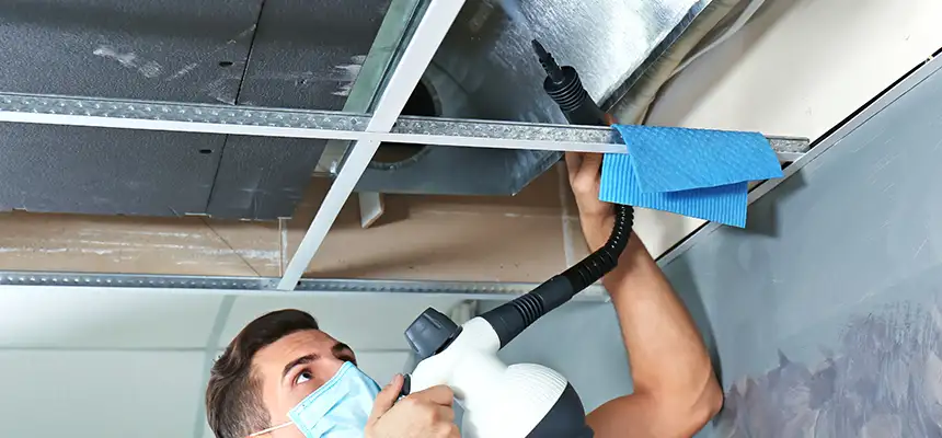 Our Air Duct Rodent Removal Services in Sanford, NC