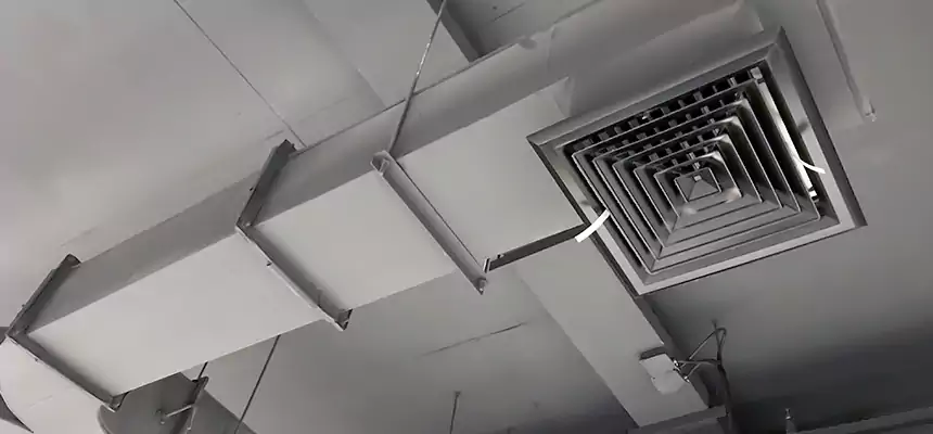 Restorative Allergy Relief Vent Cleaning – Coil, Blower & Housing Detail in Sanford