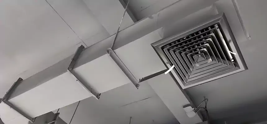 Our Pest Removal From Ducts Services in Sanford, NC