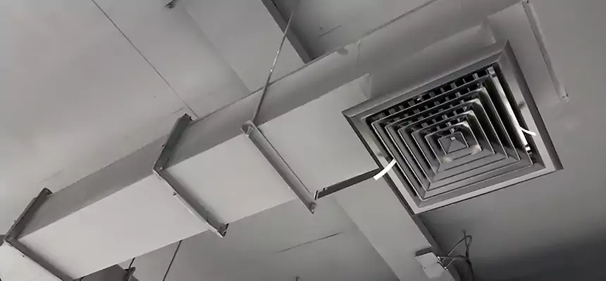 Our Rodent Droppings In Vents Services in Sanford, NC