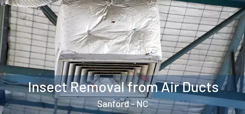  Insect Removal from Air Ducts Sanford - NC