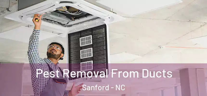  Pest Removal From Ducts Sanford - NC