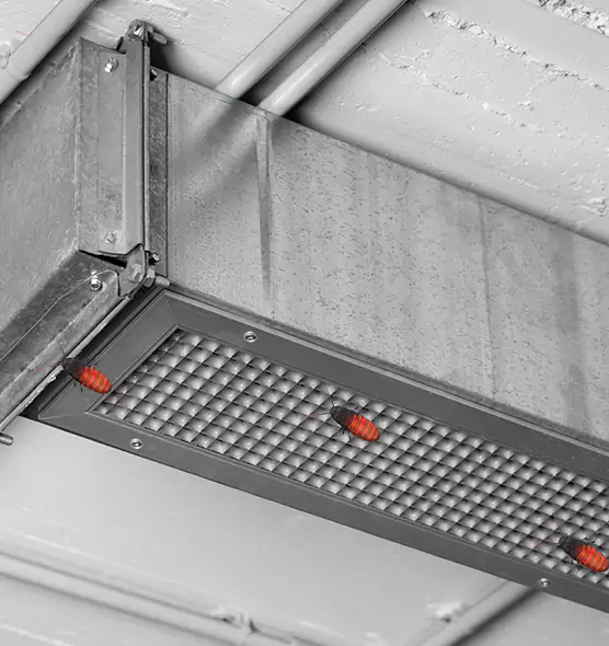 About Air Duct Cockroach Removal in Sanford, NC
