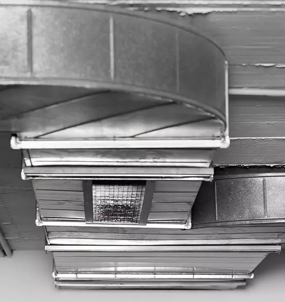 Professional Air Duct Pest Removal in Sanford, NC