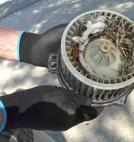 About Air Duct Rat Removal in Sanford, NC