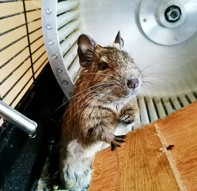 Why Homeowners & Businesses Trust Us Sanford, NC?