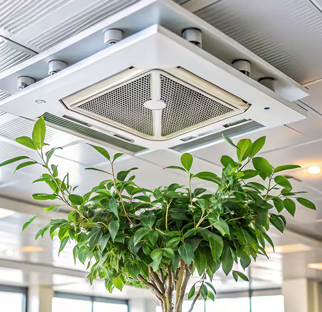 Why Homeowners & Businesses Trust Us in Sanford, NC